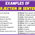 Examples of Interjection in Sentences