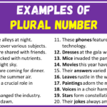Examples of Plural Number in Sentences