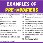 Examples of Pre modifiers