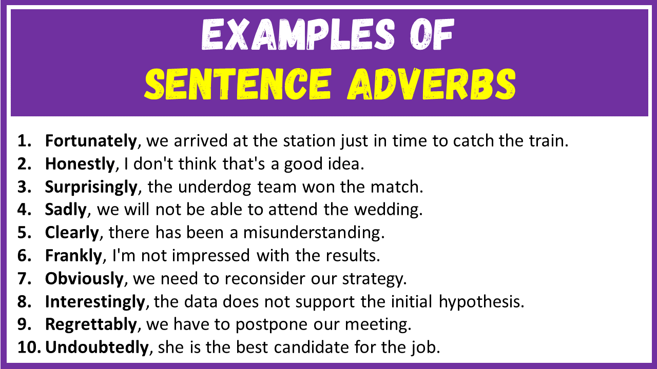 Examples of Sentence Adverbs in Sentences