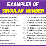 Examples of Singular Number in Sentences