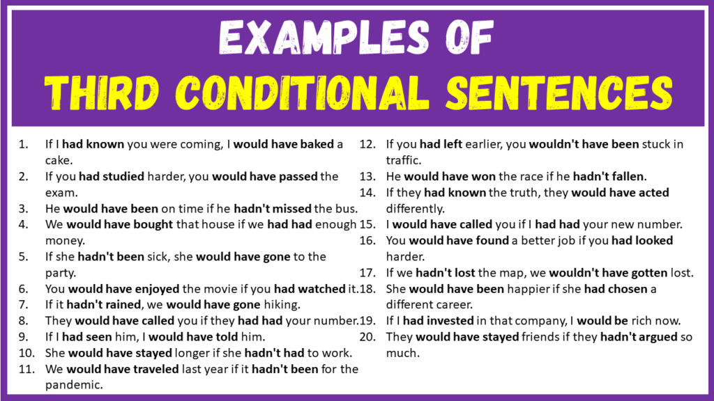 Examples of Third Conditional Sentences