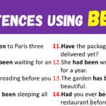 Sentences Using BEEN Copy