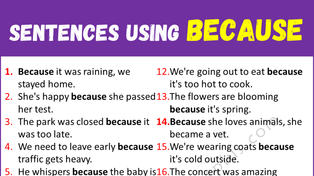 Sentences Using Because Copy