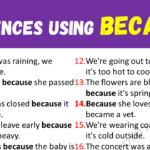 Sentences Using Because Copy