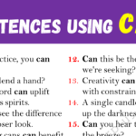 Sentences Using CAN Copy