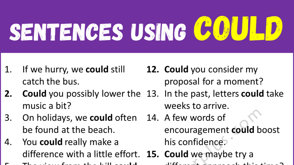Sentences Using COULD Copy