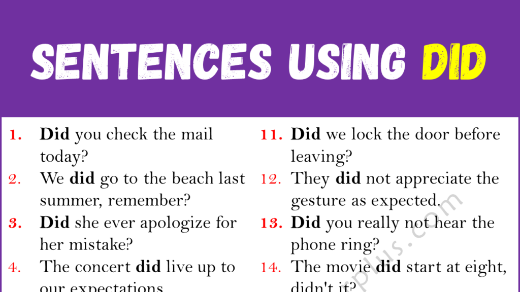 Sentences Using DID Copy