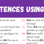 Sentences Using DID Copy
