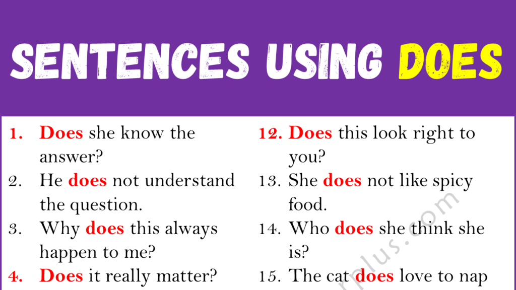 Sentences Using DOES Copy