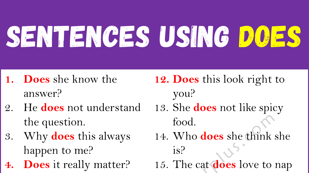 correct-use-of-does-20-sentences-using-does