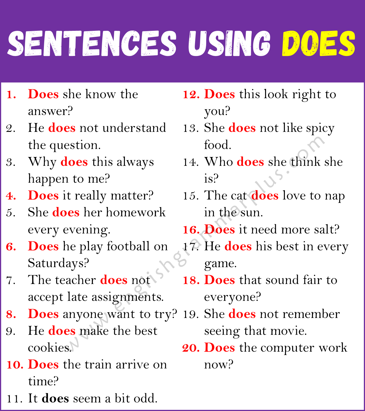 Sentences Using DOES