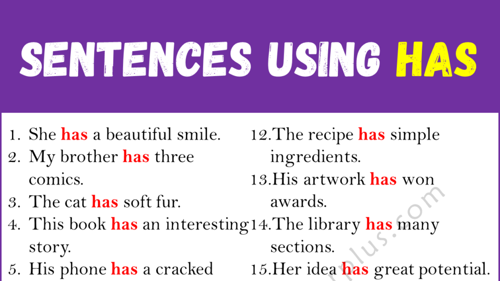 Sentences Using HAS Copy