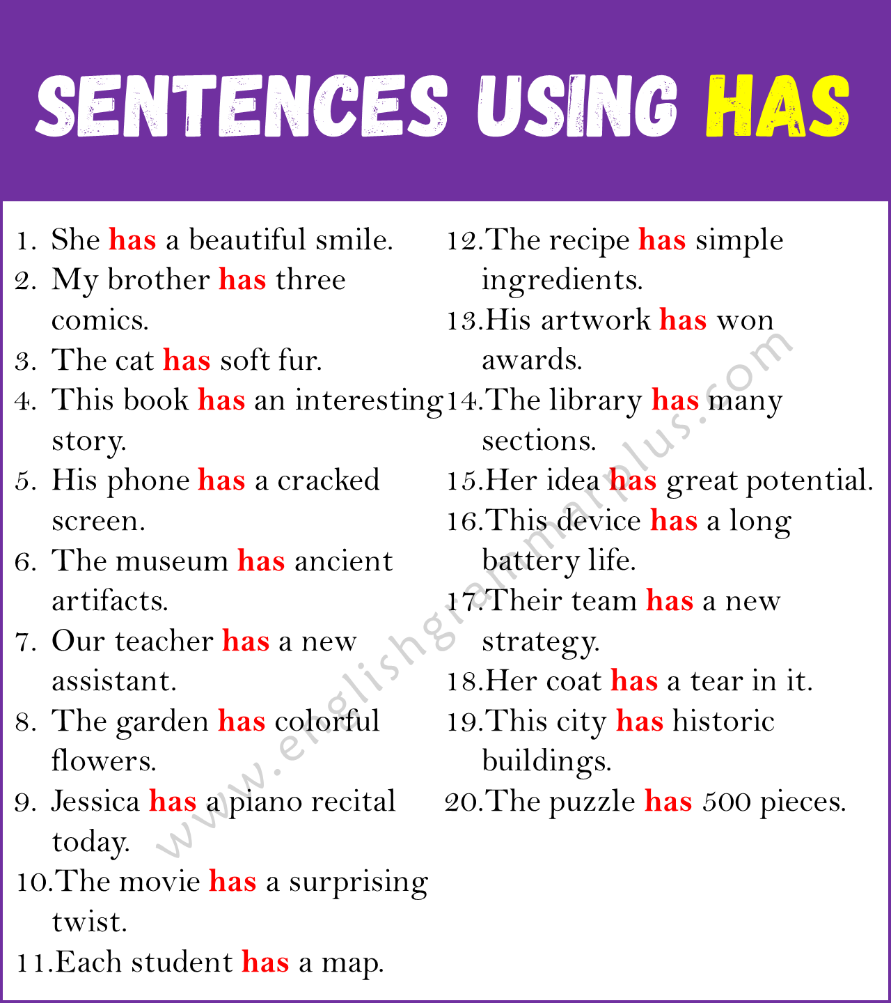 Correct Use of HAS: 20 Sentences Using HAS