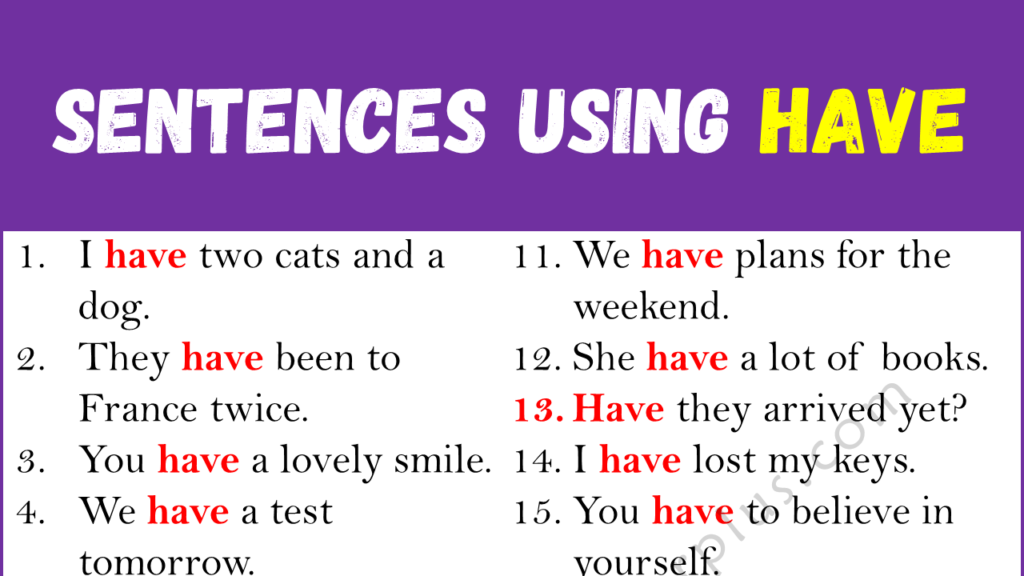 Sentences Using HAVE Copy