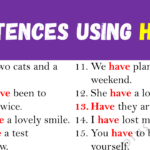 Sentences Using HAVE Copy