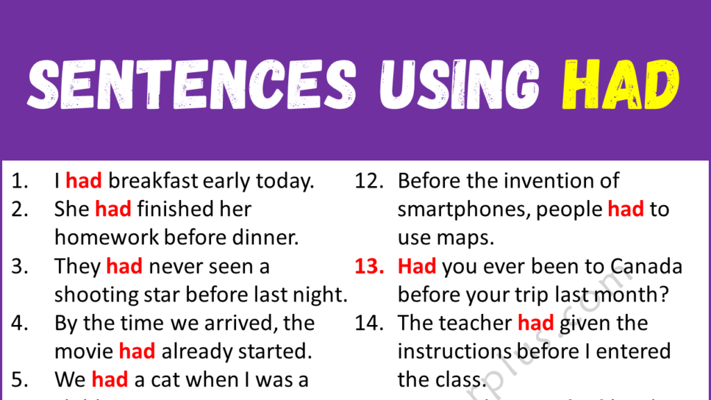 Sentences Using Had Copy
