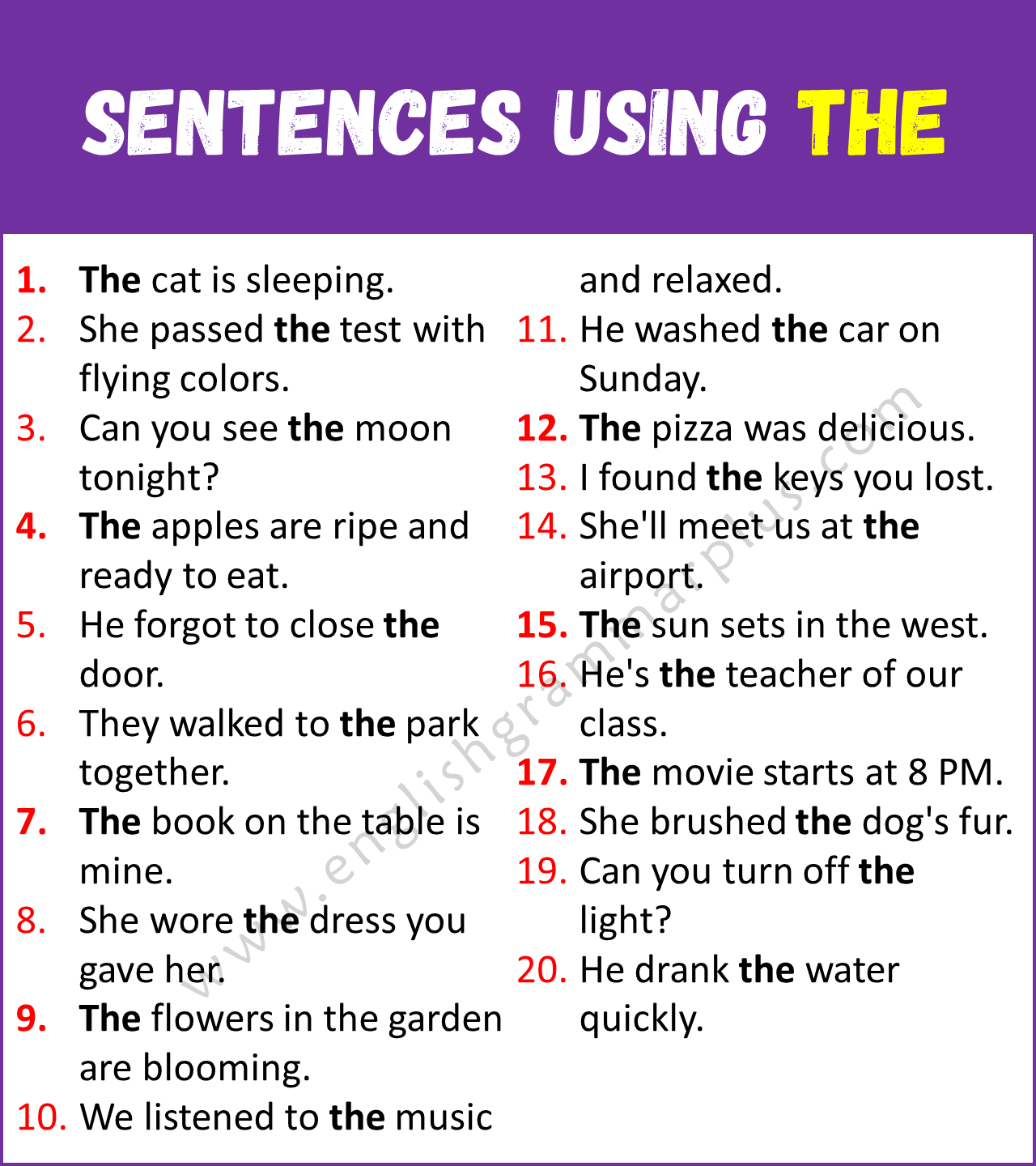 Sentences Using THE
