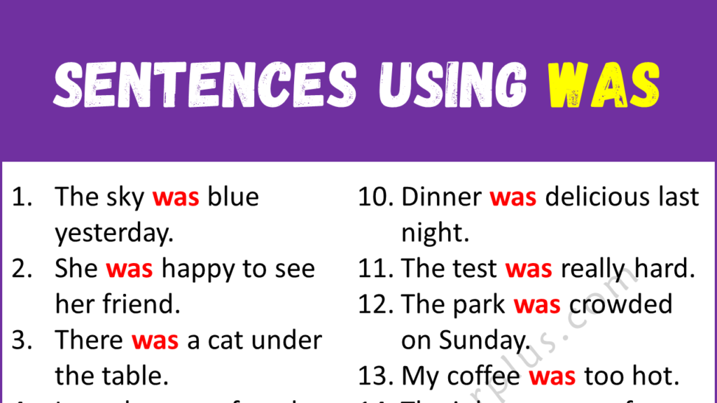 Sentences Using WAS Copy