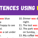 Sentences Using WAS Copy