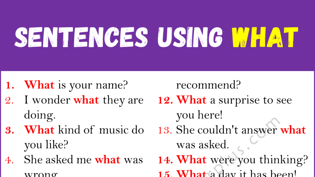 Sentences Using WHAT Copy