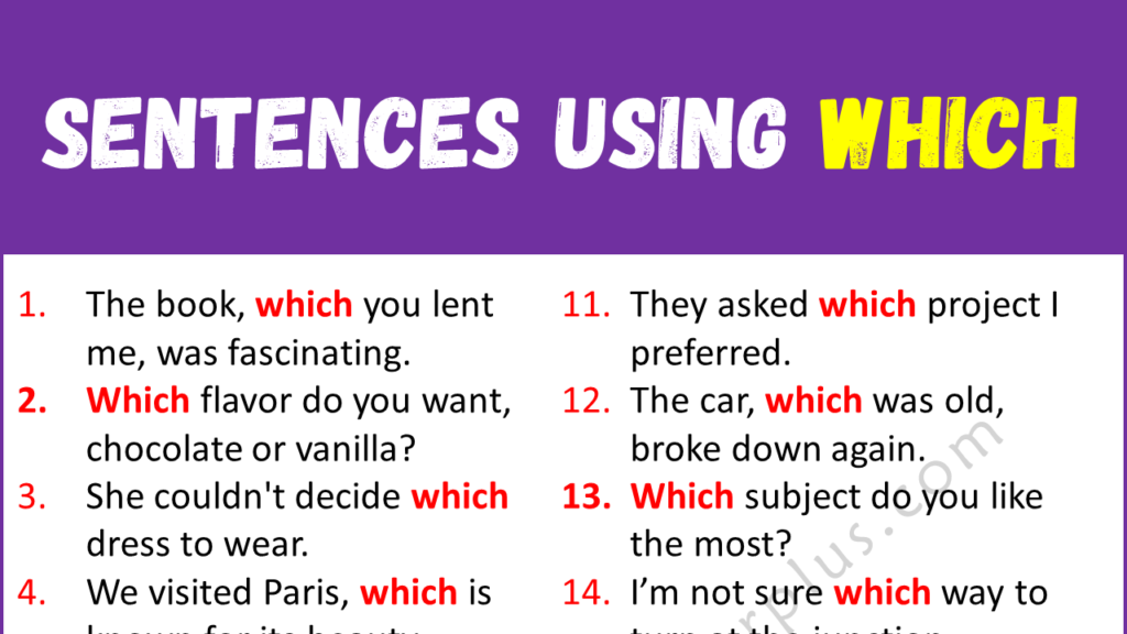 Sentences Using WHICH Copy