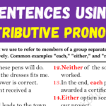 Examples of Distributive Pronouns in Sentences Copy