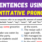 Examples of Quantitative Pronouns in Sentences Copy