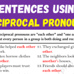 Examples of Reciprocal Pronouns in Sentences Copy