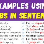 Examples of Verbs in Sentences Copy
