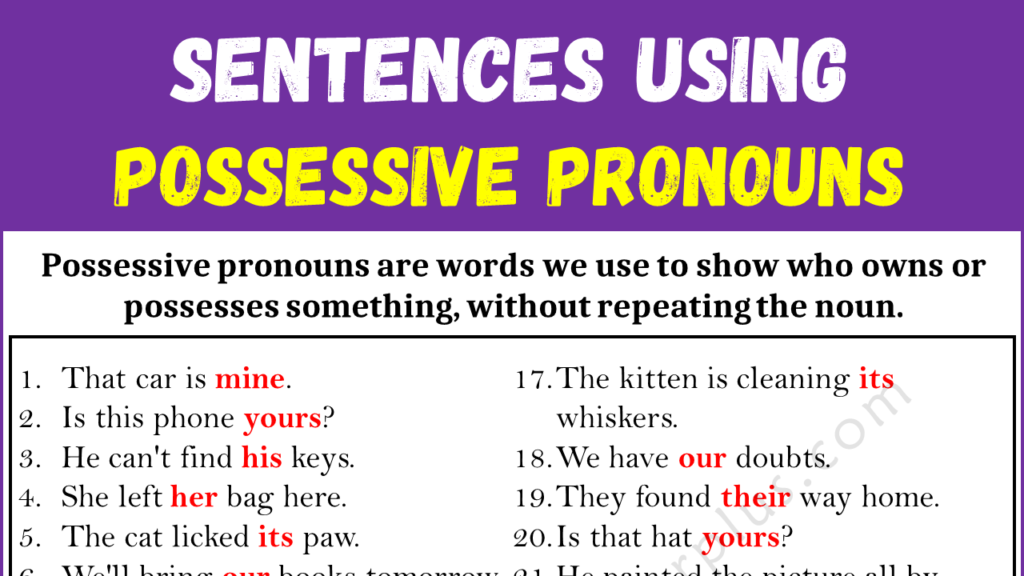 Sentences Using Possessive Pronouns Copy