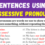 Sentences Using Possessive Pronouns Copy