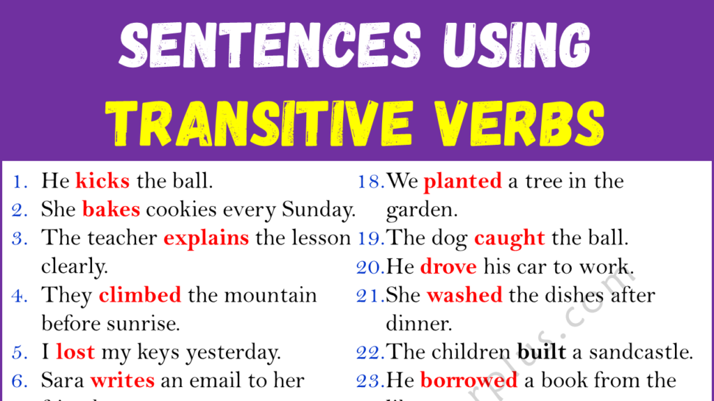 Sentences Using Transitive Verbs Copy