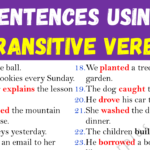 Sentences Using Transitive Verbs Copy