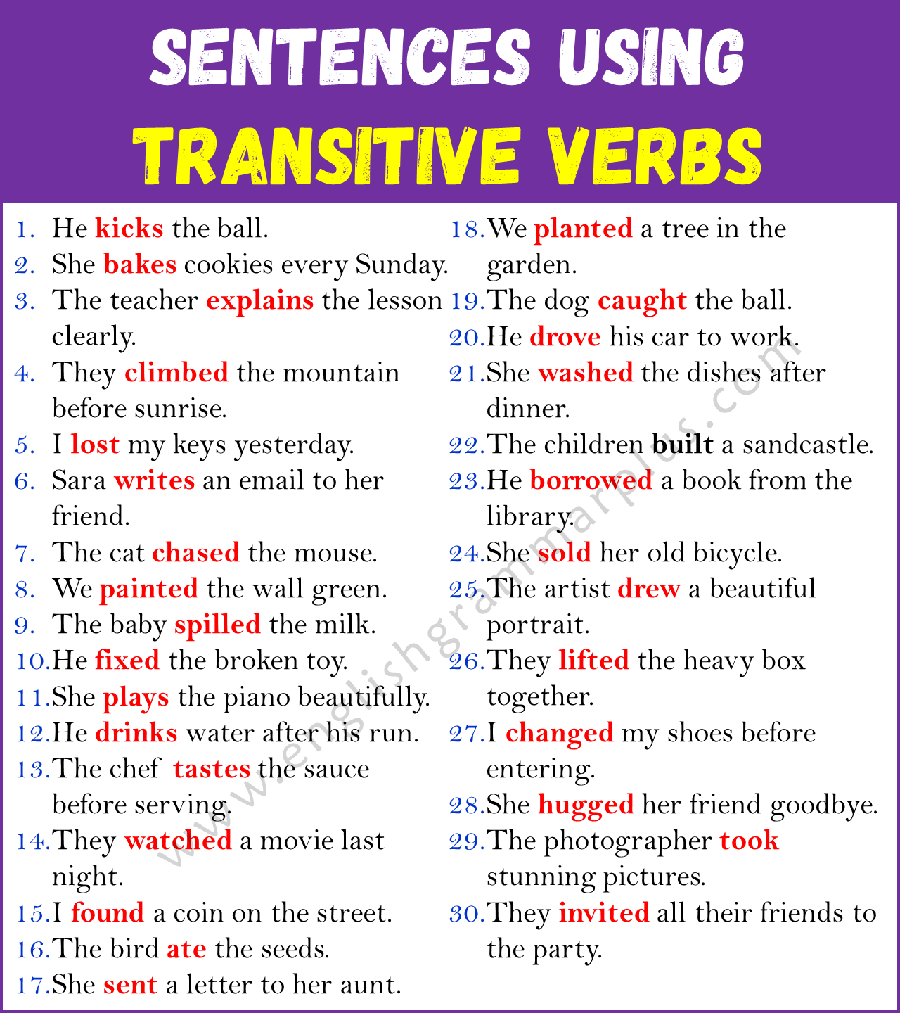 Sentences Using Transitive Verbs